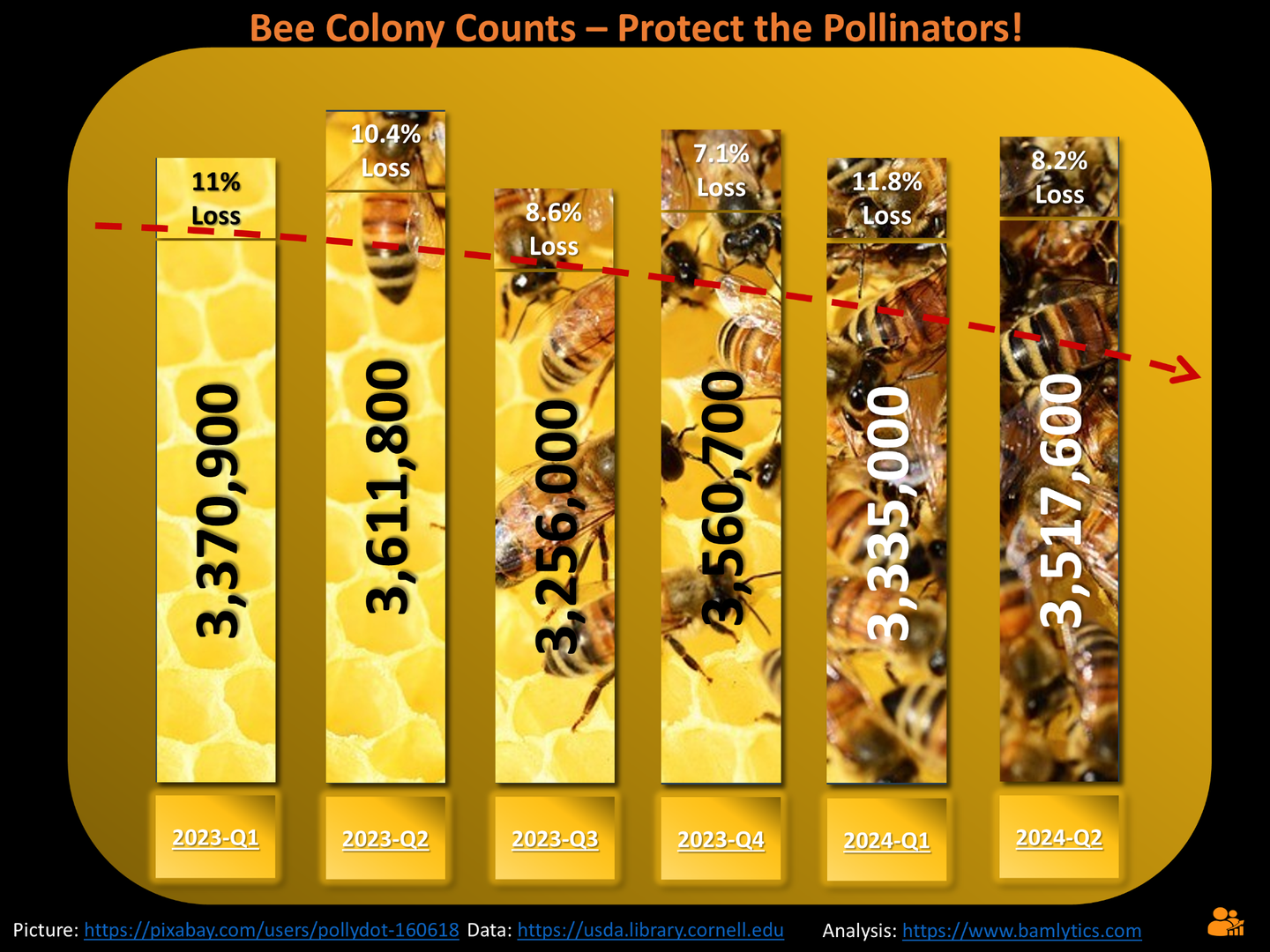 Chart of bee colony counts by quarter, showing 7–11% seasonal losses from 2023 to 2024.